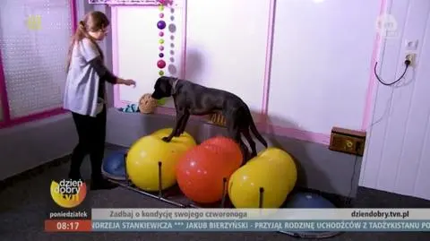 photo_8920928
