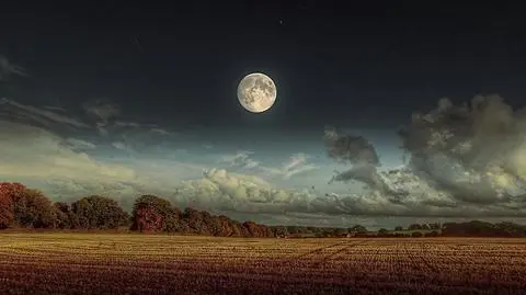 photo_8920928