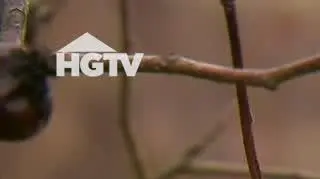 HGTV: Wiosenne prace w warzywniku. Jak przygotować glebę