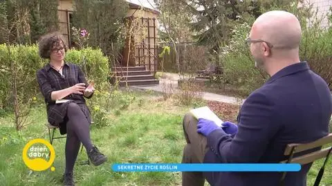 Sekretne życie roślin okiem Urszuli Zajączkowskiej. „Mam wrażenie, że widzę coś, co jest podobne do człowieka”