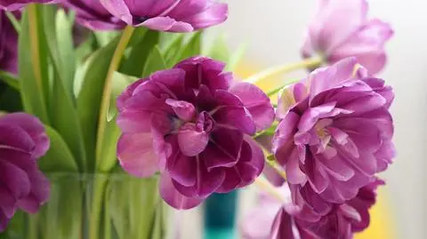 photo_8921152