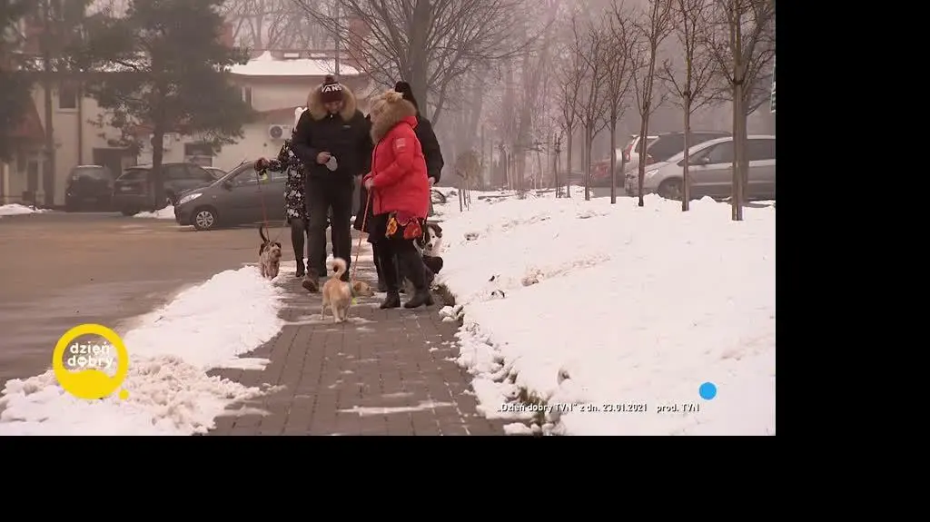 DD_20220131_Pozytywka_rep_REP