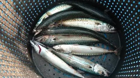 photo_8921152