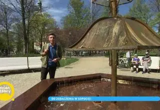 Michał Cessanis i nieznany Sopot. Zobacz, jak zaskakująco wykorzystuje się tamtejszą solankę