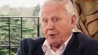 David Attenborough, Dzień Dobry TVN