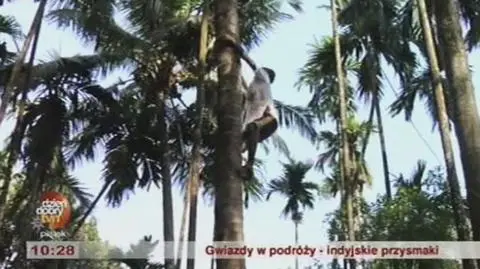 Indie. Gwiazdy w podróży