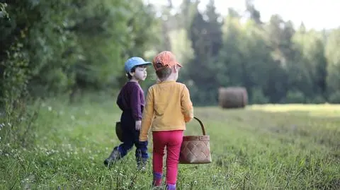 Borowik ceglastopory a szatański – jakie są różnice? | Dzień Dobry TVN