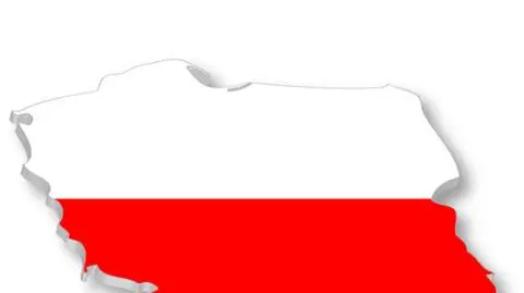 Pytamy Polaków o 11 listopada