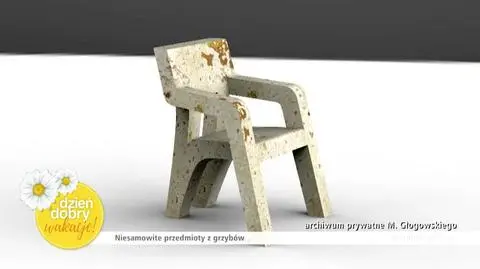 Marek Głogowski. Projektant, który z grzybów tworzy meble