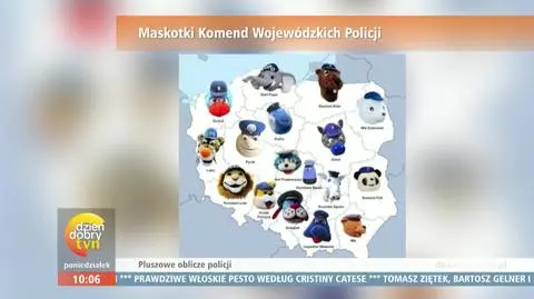 Pluszowe oblicze Policji - czemu ma służyć?