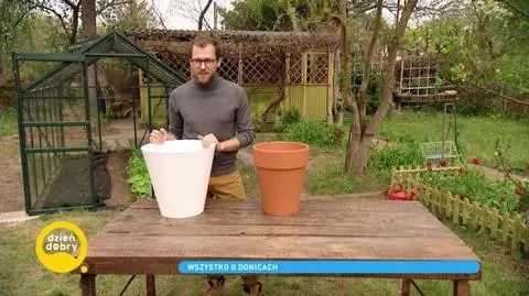 Ogródek warzywny na balkonie. Jakie donice nadają się do uprawy roślin?