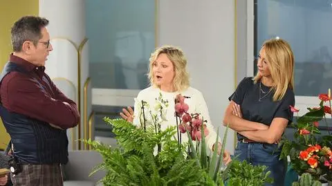 Na ratunek kwiatom doniczkowym. Maja Popielarska radzi, jak dbać o rośliny