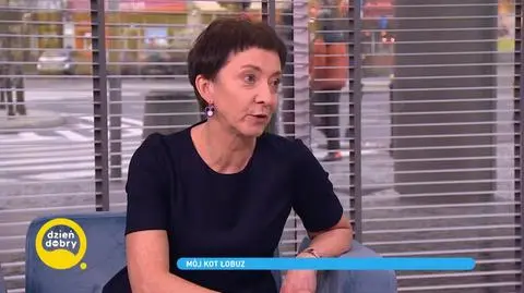 Co zrobić, by kot nie drapał mebli i załatwiał się w kuwecie? Porady behawiorystki