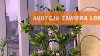 Międzynarodowy Dzień Romów 