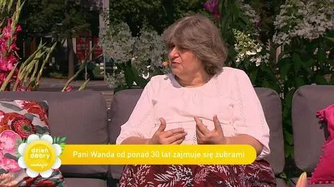 Polskie żubry potęgą w Europie. Prof. Wanda Olech-Piasecka zajmuje się żubrami od 30 lat