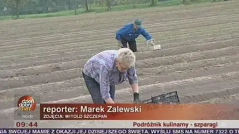 Podróżnik kulinarny: szparagi