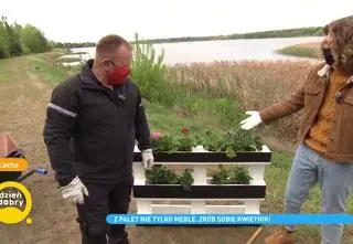 Jak samodzielnie zrobić kwietnik z palet? Zobacz, jakie rady ma w zanadrzu Wiesiek Skiba