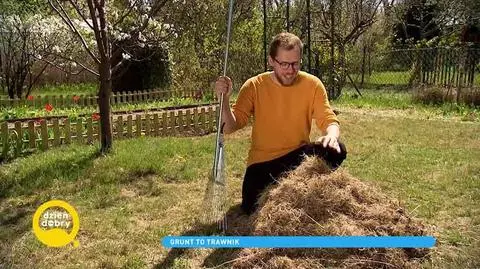 Sposoby na piękny trawnik. Kosztują niewiele, działają cuda