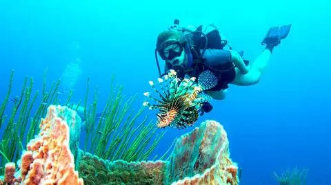 Belize - co warto zobaczyć? Atrakcje turystyczne
