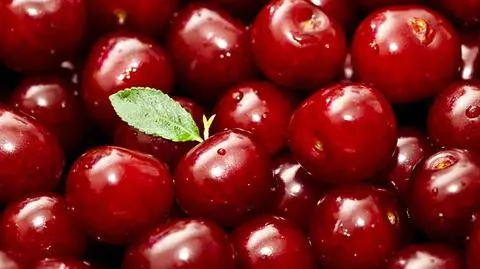 photo_8920928