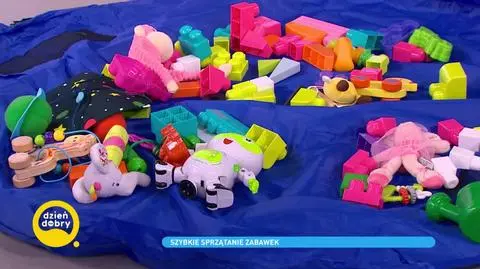 Ekspresowe sprzątanie. Jak szybko uporządkować zabawki?