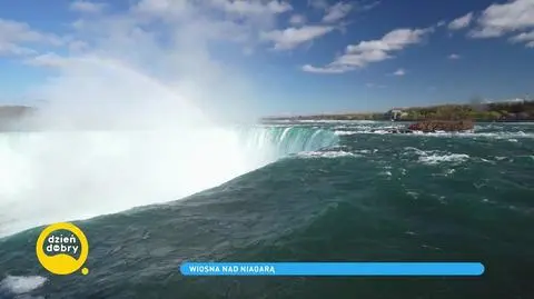 Wodospad Niagara. Ciekawostki o najpopularniejszym wodospadzie na świecie. Jak wygląda wiosną?