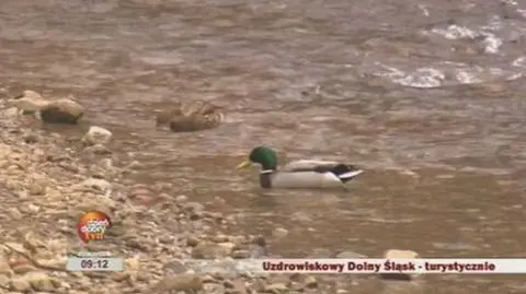 Uzdrowiskowy Dolny Śląsk
