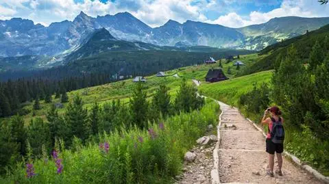 Zakopane. Nie żyje 12-letnia dziewczynka, uczestniczka kolonii