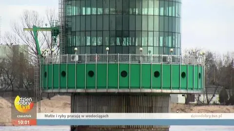 Małże i ryby pracują w wodociągach i dbają o jakość naszej wody