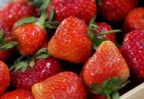 Kuchnia zero waste: tarta z truskawkami na spodzie z czerstwych bułek