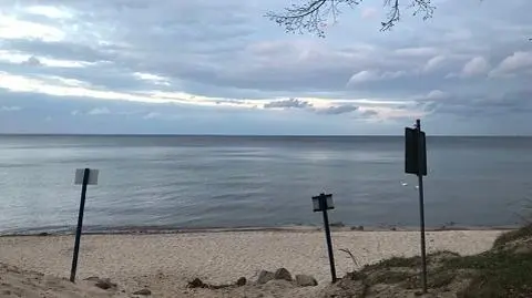 Gdynia – jakie oferuje atrakcje dla dzieci? | Dzień Dobry TVN