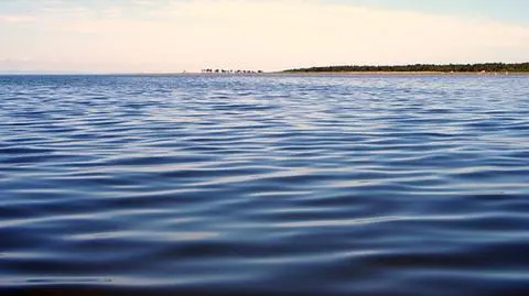 photo_8921152