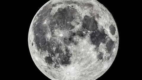 SpaceX jest gotowy do lotu na Księżyc wraz z NASA