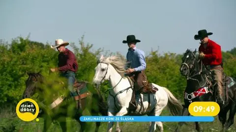 Bracia Wierzchosławscy - zaklinacze koni ze Śląska. Na czym polega jazda westernowa? 