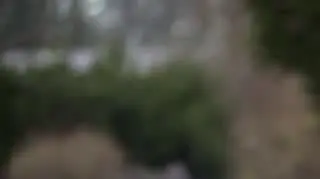 Palenie było jego największym błędem 