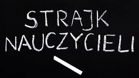 Strajk nauczycieli. Protest przed Ministerstwem Edukacji Narodowej