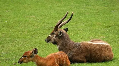 photo_8921152