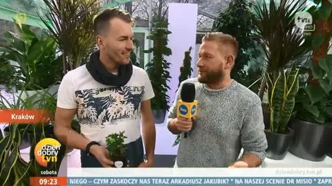 Otaczajmy się zielenią