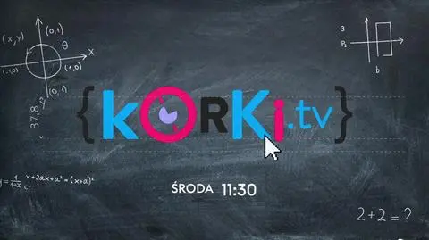 „Korki.tv” w telewizji Metro - nowy program edukacyjny dla maturzystów