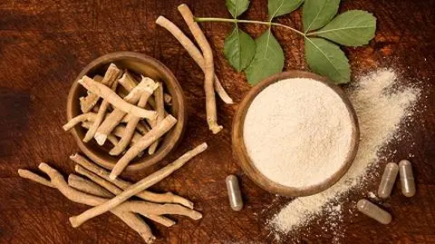 Ashwagandha- jakie ma zastosowanie i na co pomaga?
