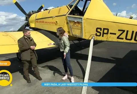 Pożary lasów. Kiedy zdarzają się najczęściej i jak ich uniknąć?