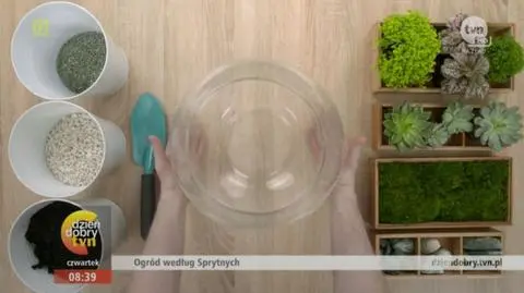 Jak w prosty sposób stworzyć zielony domowy ogród?