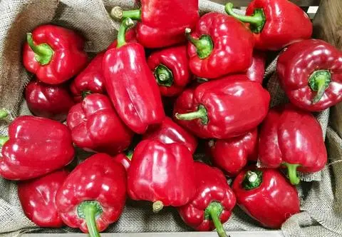Potrawka śniadaniowa – jajka w papryce i cukinii, czyli zdrowy pomysł na pyszne śniadanie