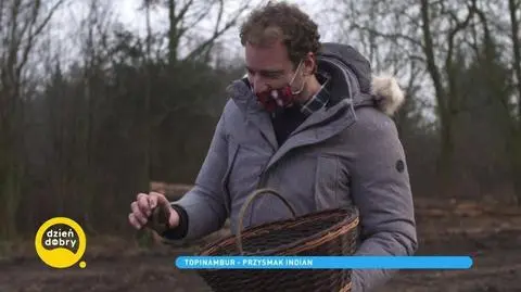 Topinambur - jakie są jego właściwości?