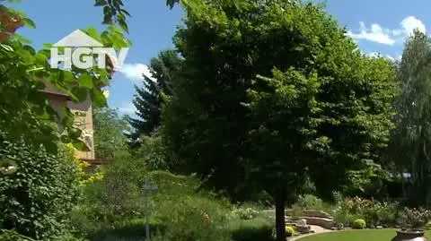HGTV_MWO_Drenaz
