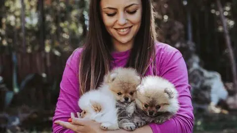 Petsitter - czym się zajmuje? Zarobki w Warszawie i dużych miastach. Jak wygląda praca petsittera?