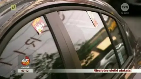 Ulotki atakują!