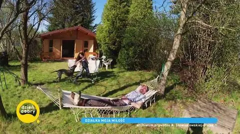 Za co Polacy kochają działki? Co warto zasadzić i jaką wybrać?