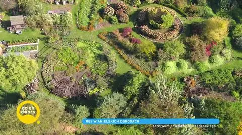 Anielskie ogrody w Budachowie i życie w zgodzie z naturą