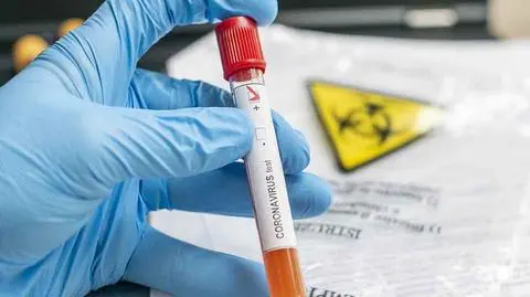 Paul Biris/Getty Images 